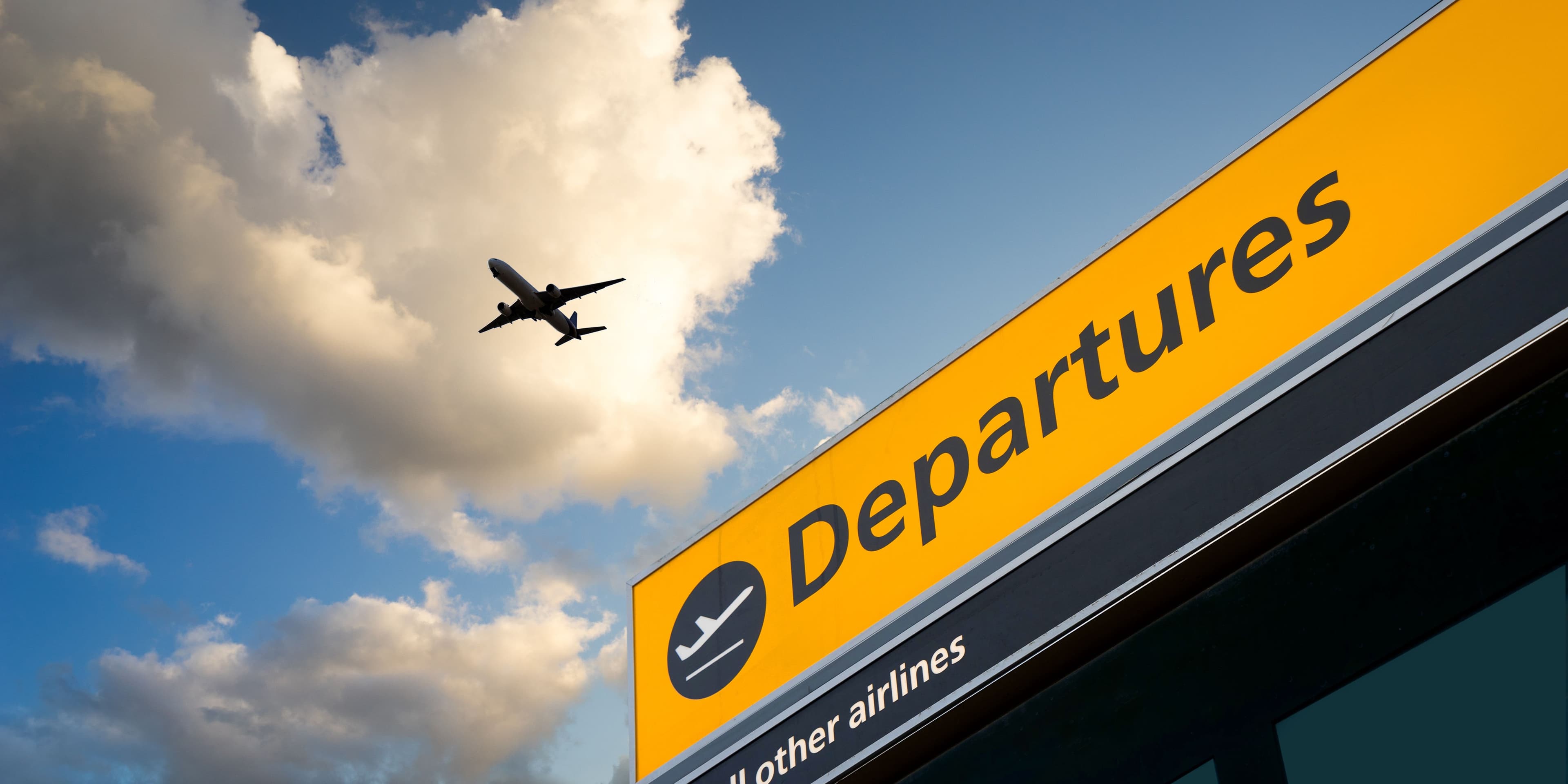 media_pYSF1TqN5Yy4L6